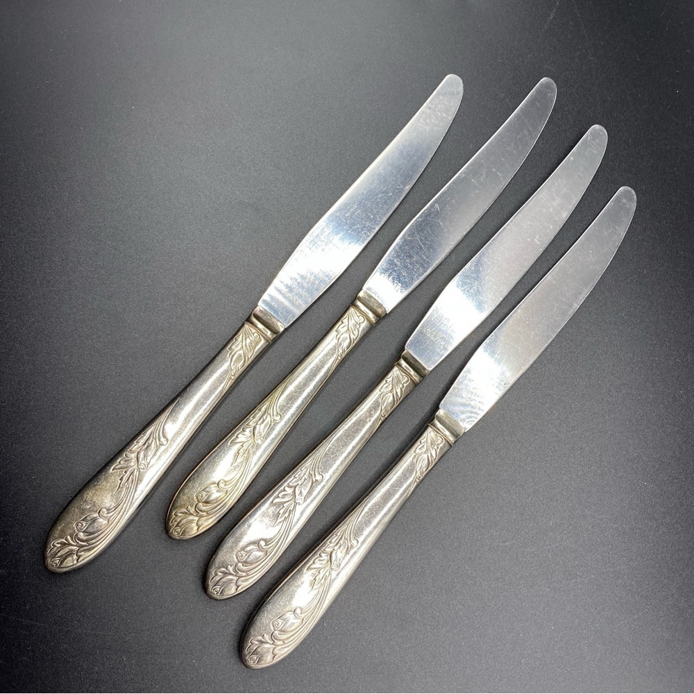 Vintage NS Co National Silver Co Silverplated 4 Dinner Knives Garden of Roses
